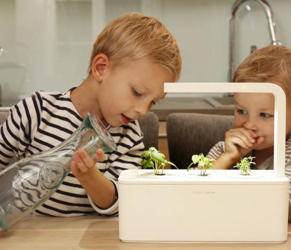 Un potager connecté pour cultiver toute l'année dans sa cuisine