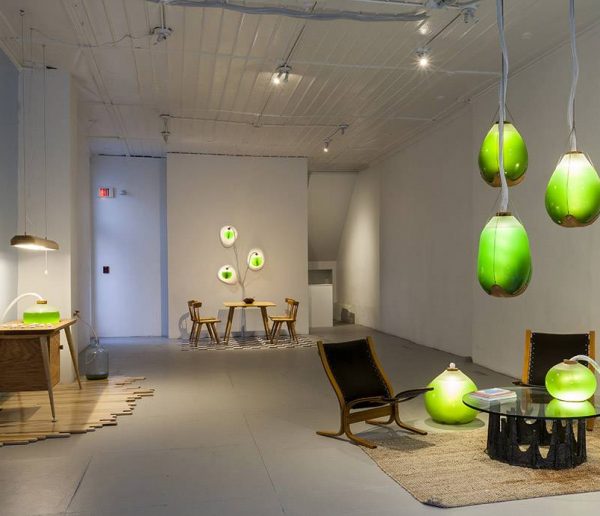 Deux artistes fabriquent une lampe qui génère de l'énergie grâce à une algue