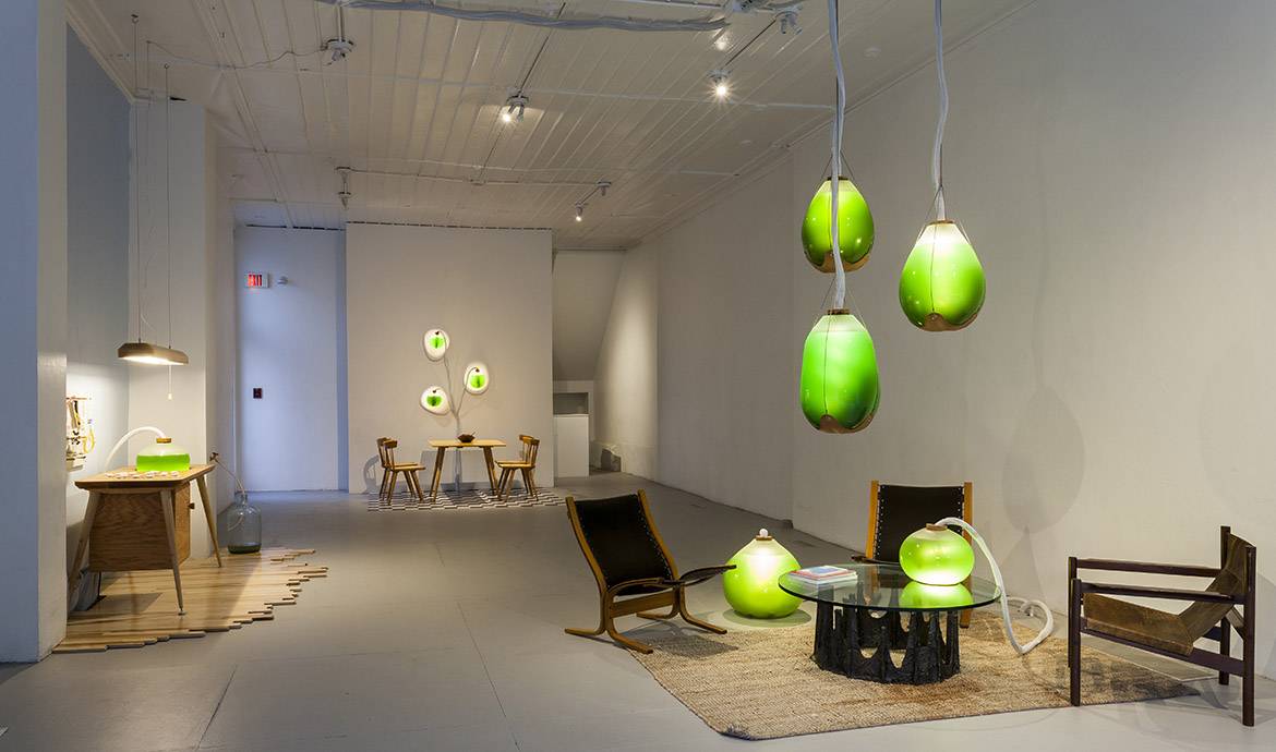 Deux artistes fabriquent une lampe qui génère de l'énergie grâce à une algue