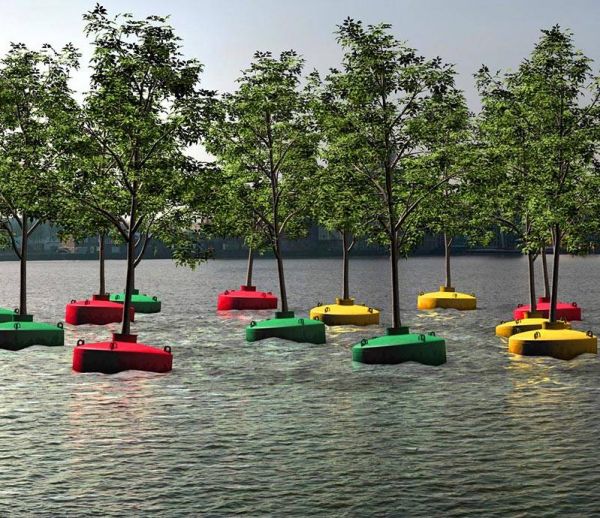 Une forêt flottante à Rotterdam