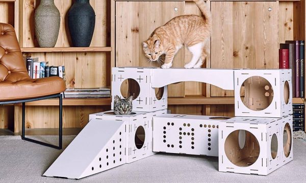 Blocks Poopy Cat : cubes à assembler pour chats joueurs