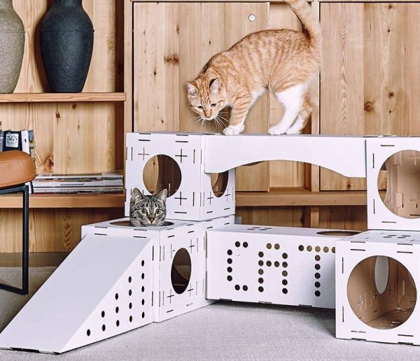 Blocks Poopy Cat : cubes à assembler pour chats joueurs