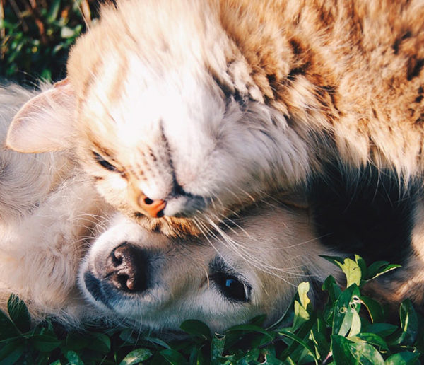 22 idées pour fêter la Saint-Valentin toute l'année