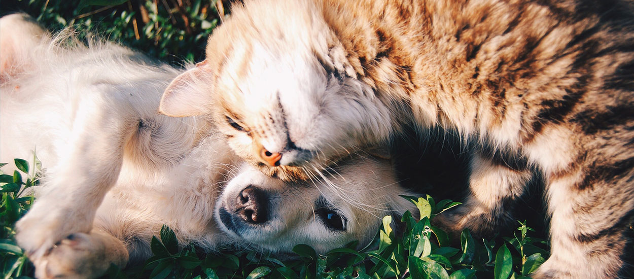 22 idées pour fêter la Saint-Valentin toute l'année