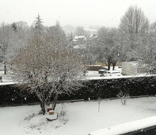 Un manteau de neige sur nos jardins