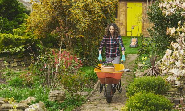 Retour du printemps : quels sont les premiers travaux à faire au jardin ?