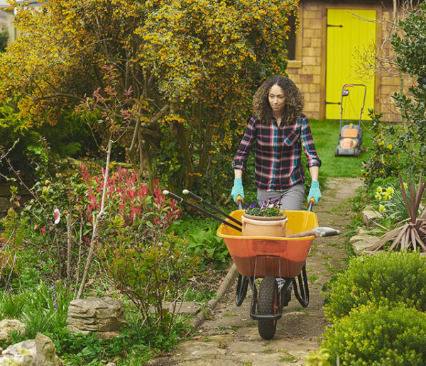 Retour du printemps : quels sont les premiers travaux à faire au jardin ?