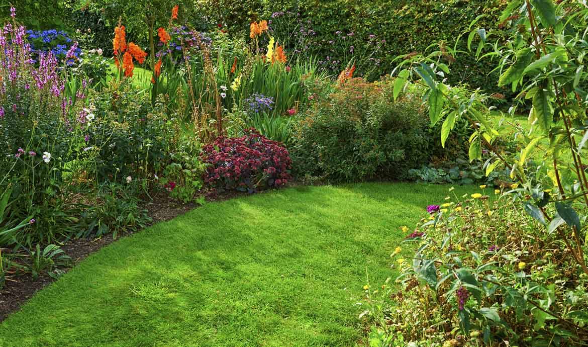 Préparer son jardin pour l'été