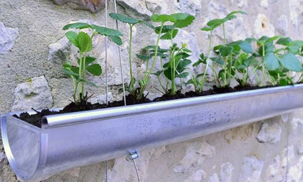 DIY : Transformez une gouttière en jardinière suspendue