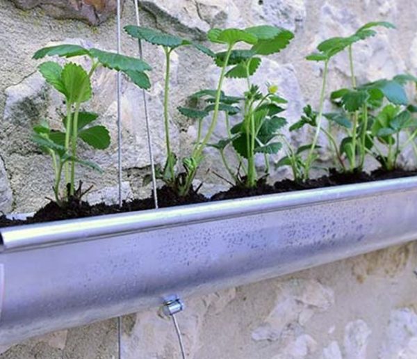 DIY : Transformez une gouttière en jardinière suspendue