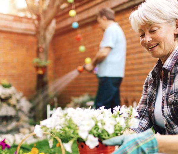 Particulier cherche amoureux du jardinage