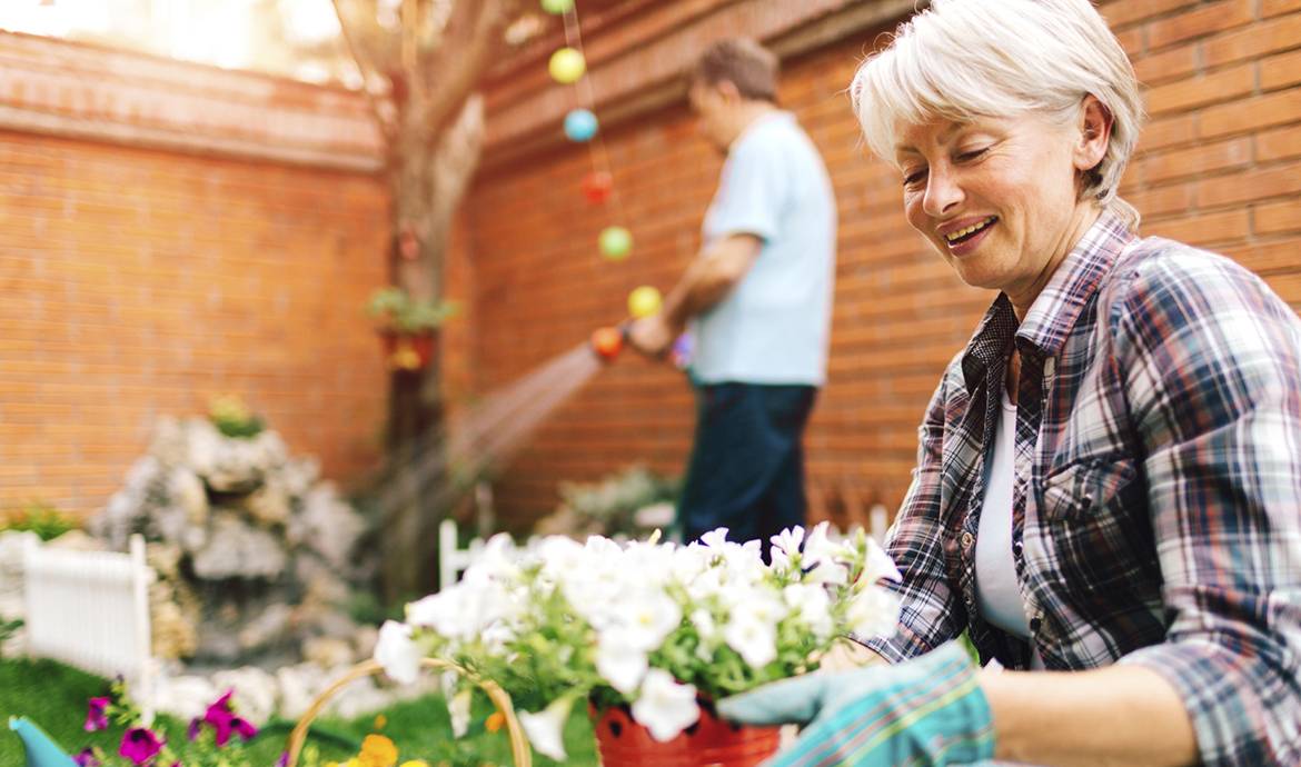 Particulier cherche amoureux du jardinage