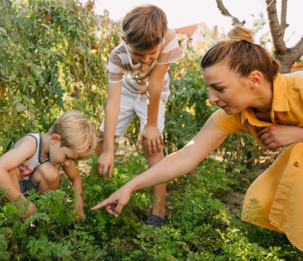 Que semer et planter au potager pour une belle récolte cet été ?