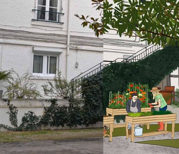 Créer un potager partagé dans une cour d'immeubles