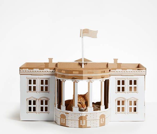 La Maison Blanche transformée en cachette pour chat