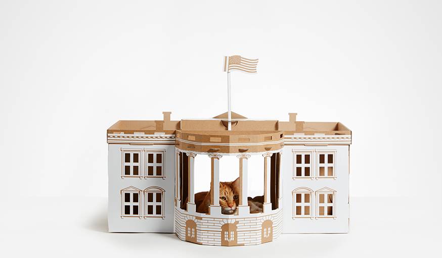 La Maison Blanche transformée en cachette pour chat