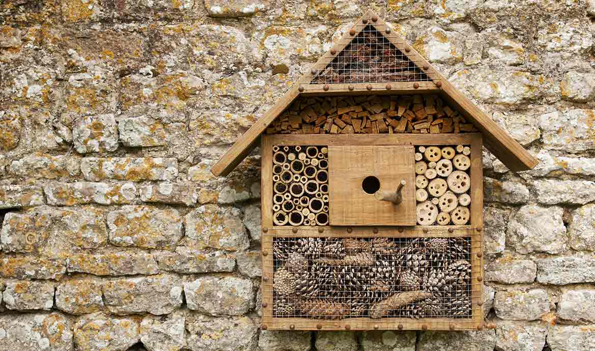 DIY : Fabriquer un hôtel à insectes