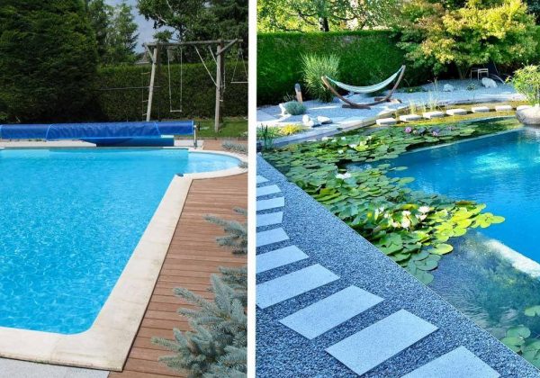 Baignade Naturelle Transformer Une Piscine Classique En Bassin