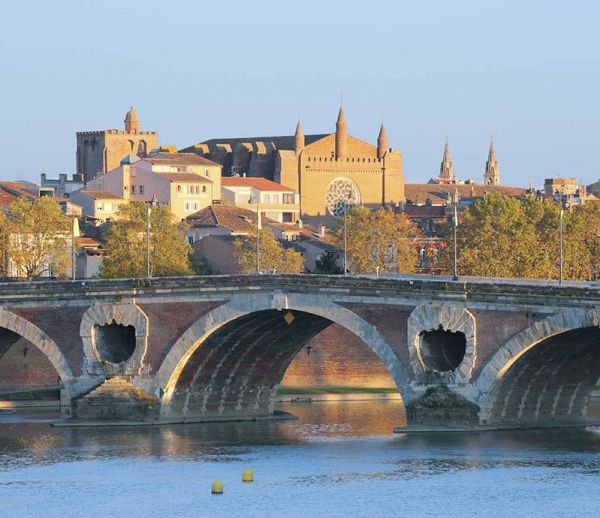 Toulouse végétalise ses façades
