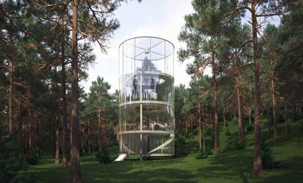 Cette fantastique maison s'élève autour d'un arbre