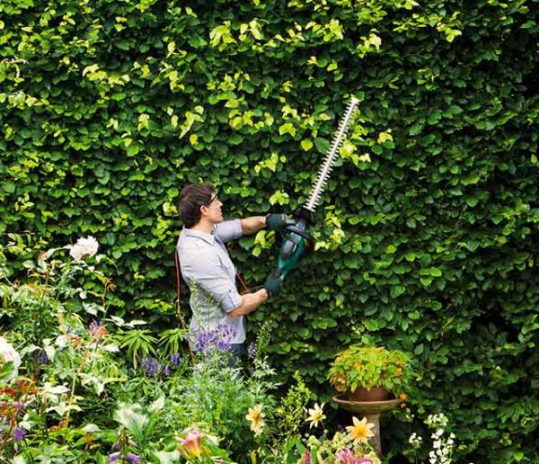 Comment prendre soin de son jardin à la rentrée ?