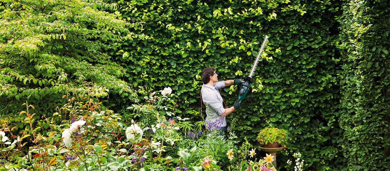 Comment prendre soin de son jardin à la rentrée ?