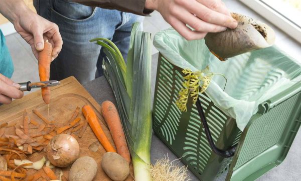 Épluchures, restes de table... Lorient collecte les biodéchets et montre l'exemple