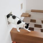 À Osaka, au Japon, une maison a été conçue pour le bonheur des chats.