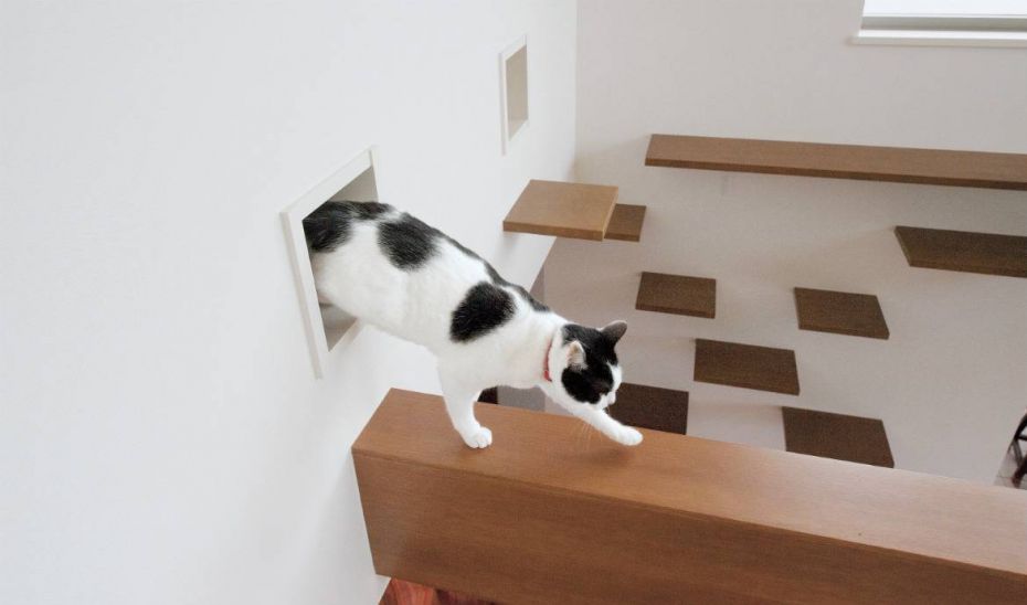 Maison pour les chats Une maison japonais créée pour des chats 18h39.fr