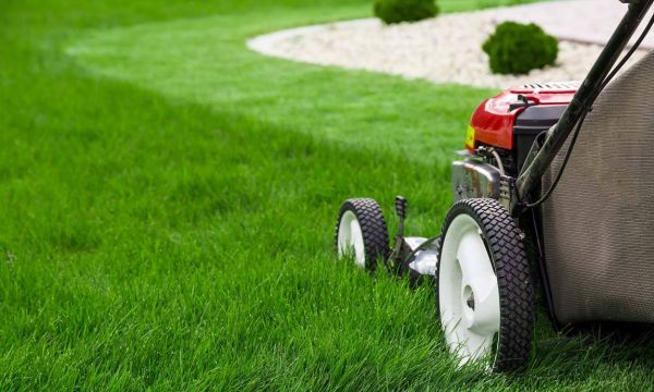 Comment entretenir sa tondeuse avant l'hiver ?