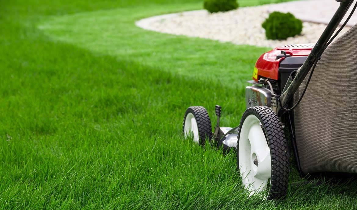 Comment entretenir sa tondeuse avant l'hiver ?