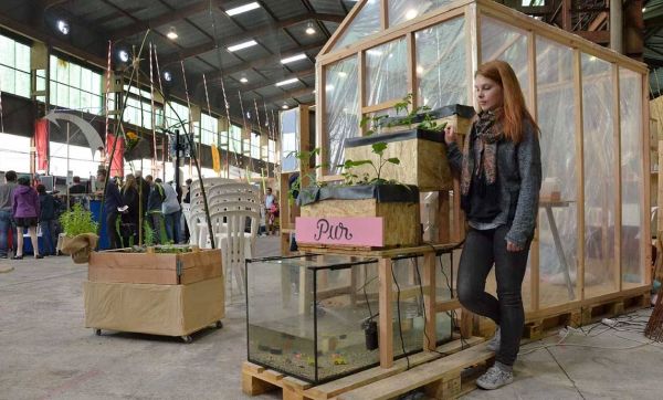 Fabriquez votre potager d'intérieur... alimenté par des poissons !