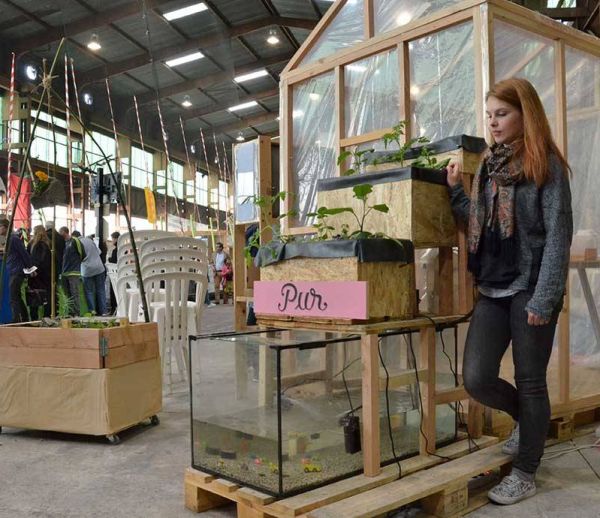 Fabriquez votre potager d'intérieur... alimenté par des poissons !