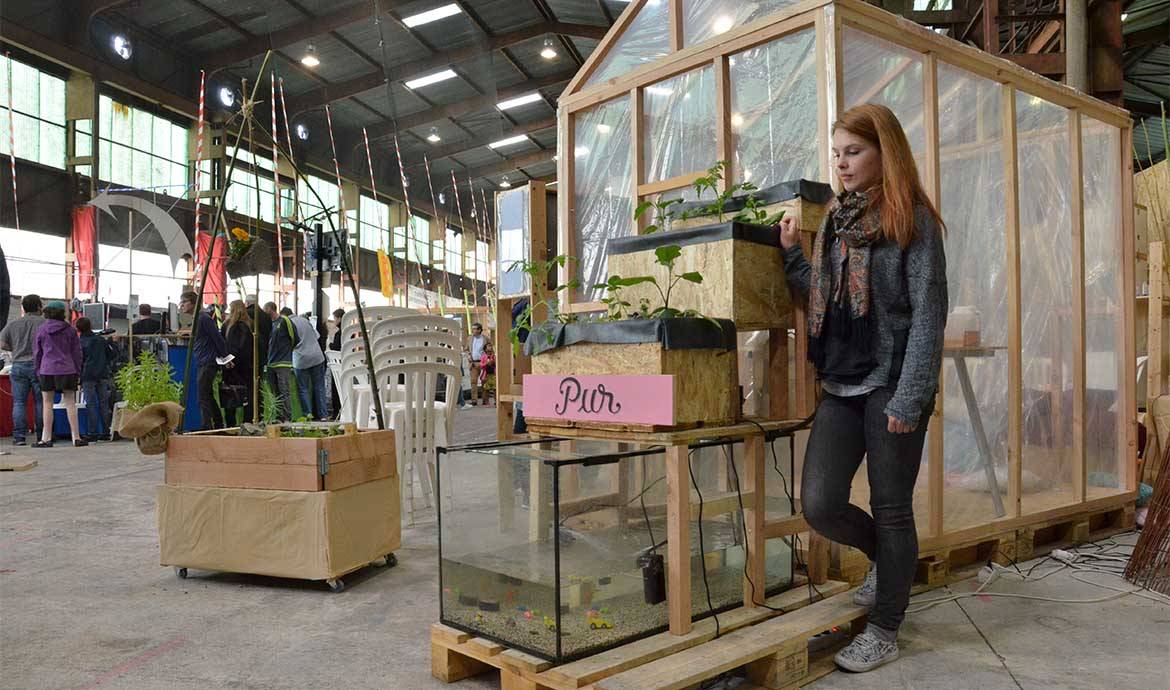 Fabriquez votre potager d'intérieur... alimenté par des poissons !