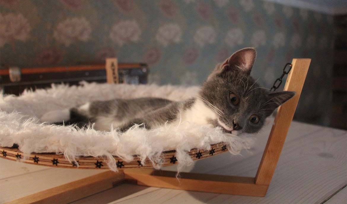 DIY : fabriquez un hamac tout doux pour votre chat