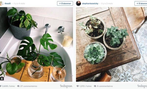 9 astuces pour réussir ses photos Instagram de plantes