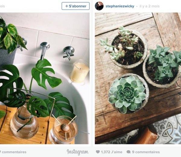 9 astuces pour réussir ses photos Instagram de plantes