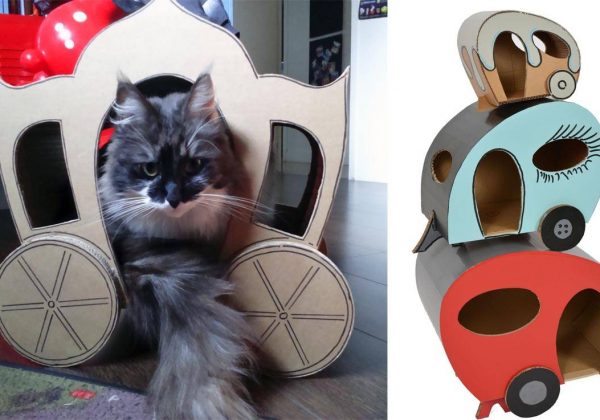 Des Maisons Pour Chat Les Chat Banes Adorables Cabanes Pour Chat En Carton Des Maisons Pour Chat Les Chat Banes Adorables Cabanes Pour Chat En Carton