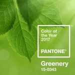 Greenery est la couleur Pantone de 2017.