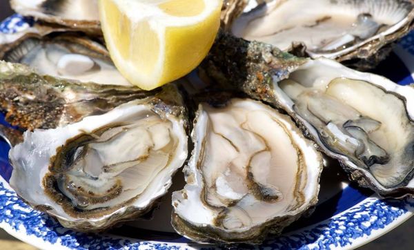 Comment recycler vos coquilles d'huîtres à la maison pendant les fêtes ?