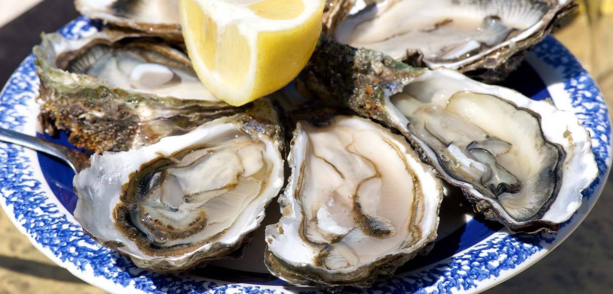 Recyclage des coquilles d'huitres et de coquillages pour les fêtes de