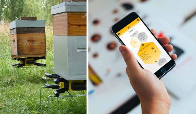des-ruches-connect-es-contre-la-disparition-des-abeilles-labeil-abeille