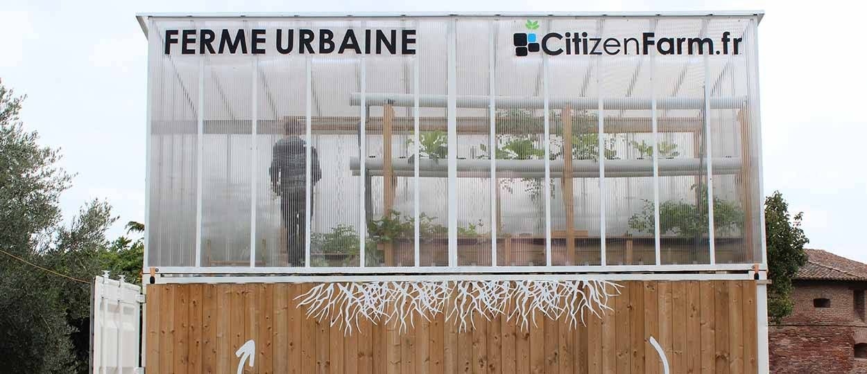 Citizen Farm : quand les poissons font pousser des légumes au coeur des villes