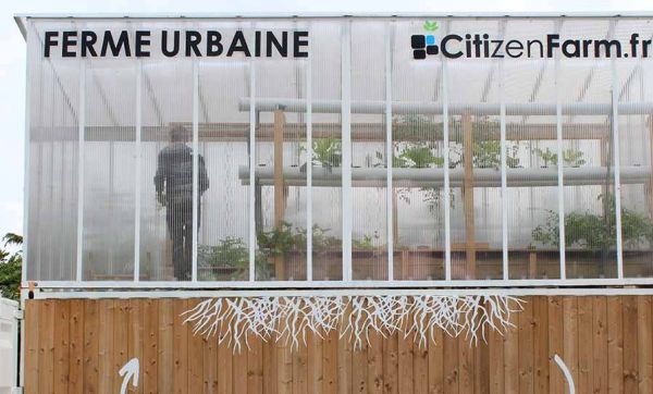 Citizen Farm : quand les poissons font pousser des légumes au coeur des villes
