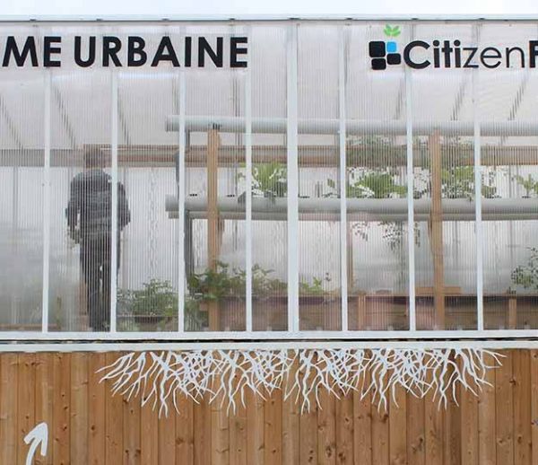 Citizen Farm : quand les poissons font pousser des légumes au coeur des villes