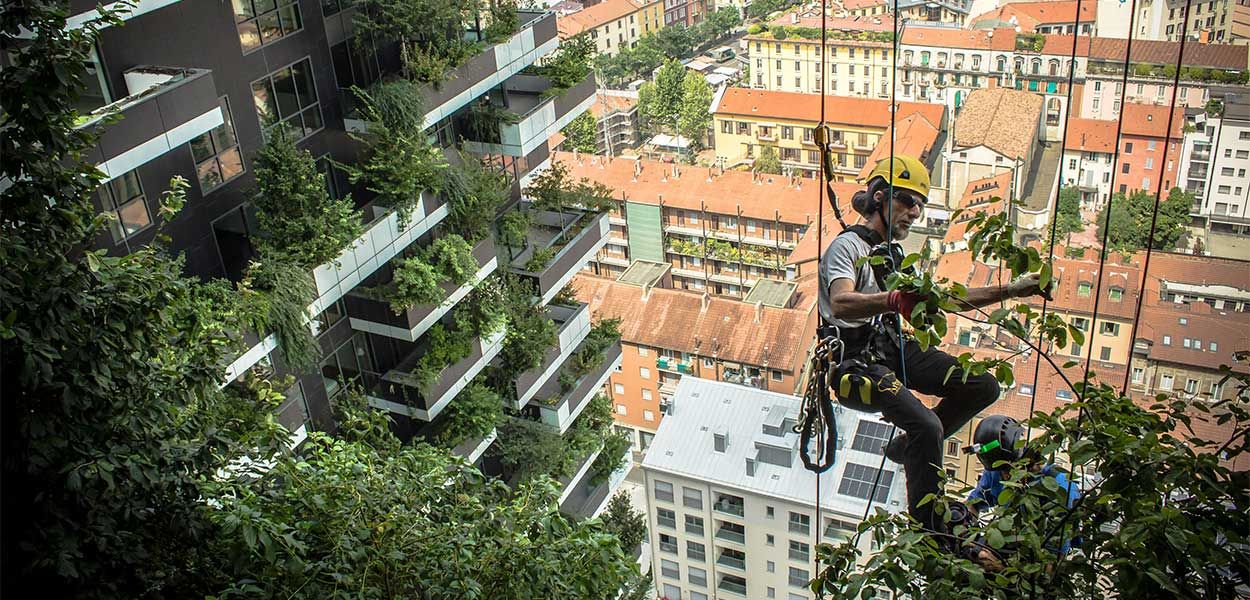 L'architecte qui fait pousser des forêts sur les gratte-ciel