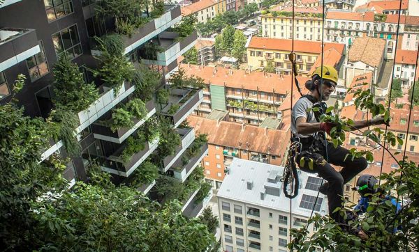 L'architecte qui fait pousser des forêts sur les gratte-ciel