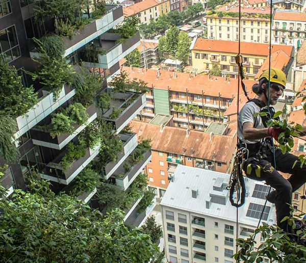 L'architecte qui fait pousser des forêts sur les gratte-ciel