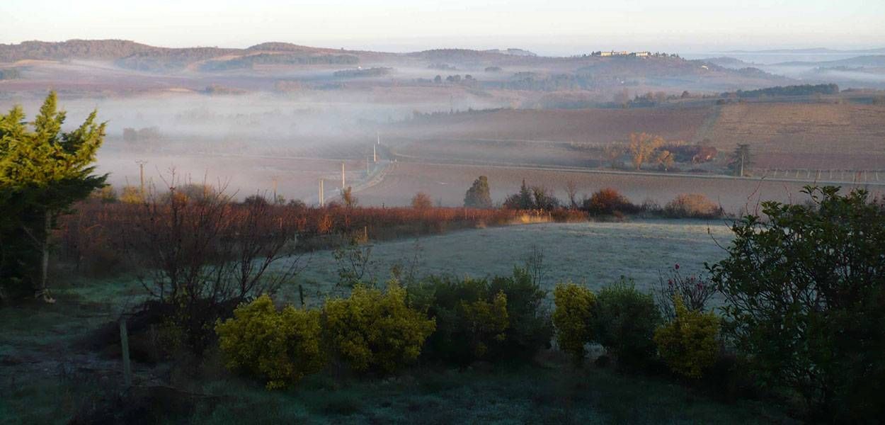 Vos photos de décembre : brume et flambées de soleil magnifiques au rendez-vous