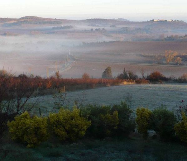 Vos photos de décembre : brume et flambées de soleil magnifiques au rendez-vous